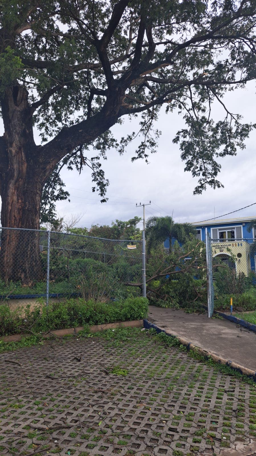 Hurricane Melissa: Damage Assessment at Jamaica College