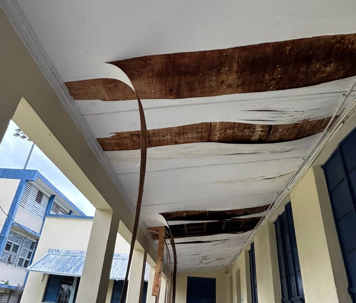 Trees down on the JC campus