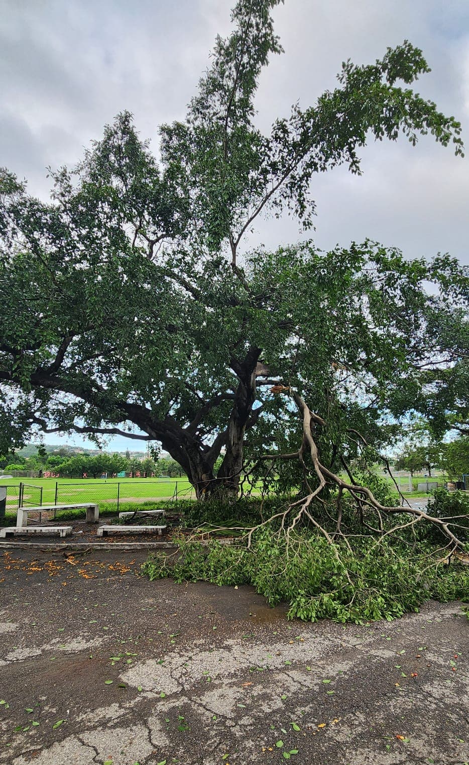 Water damage near Computer Lab D